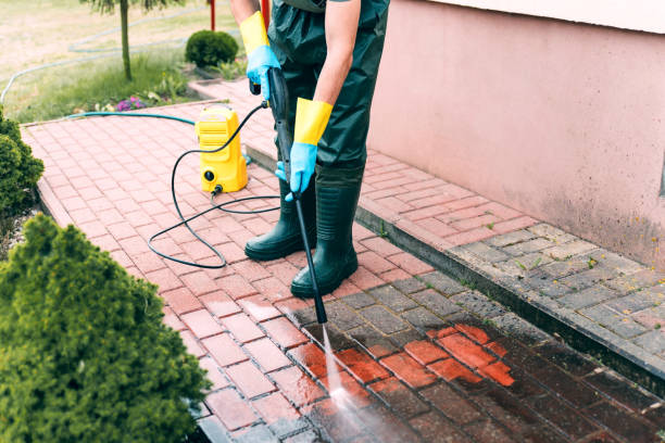Best Building Exterior Washing  in Hoyt Lakes, MN